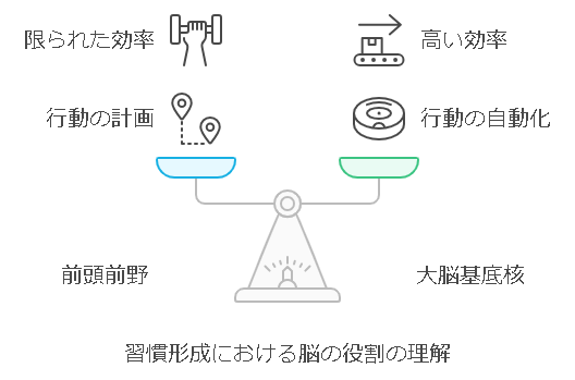 「前頭前野」と「大脳基底核」